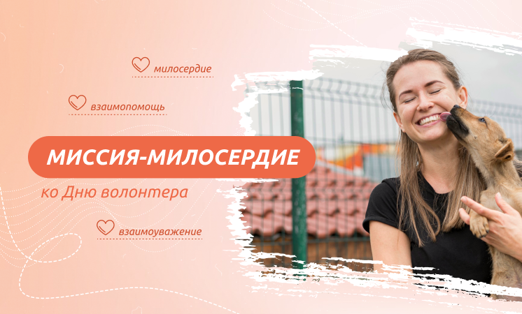Тема «МИССИЯ-МИЛОСЕРДИЕ (КО ДНЮ ВОЛОНТЕРА)».